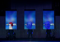 05_Heads_BMG
