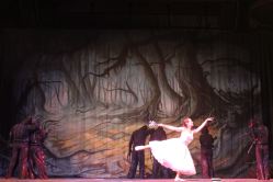 Good Witch Ballet